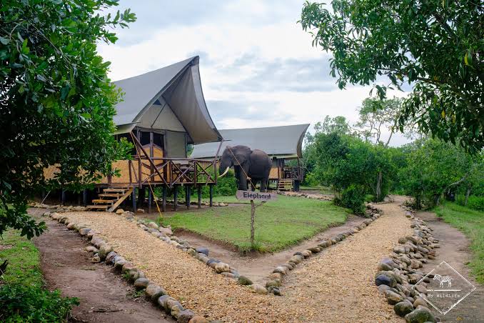 Queen Elizabeth Bush Lodge.
