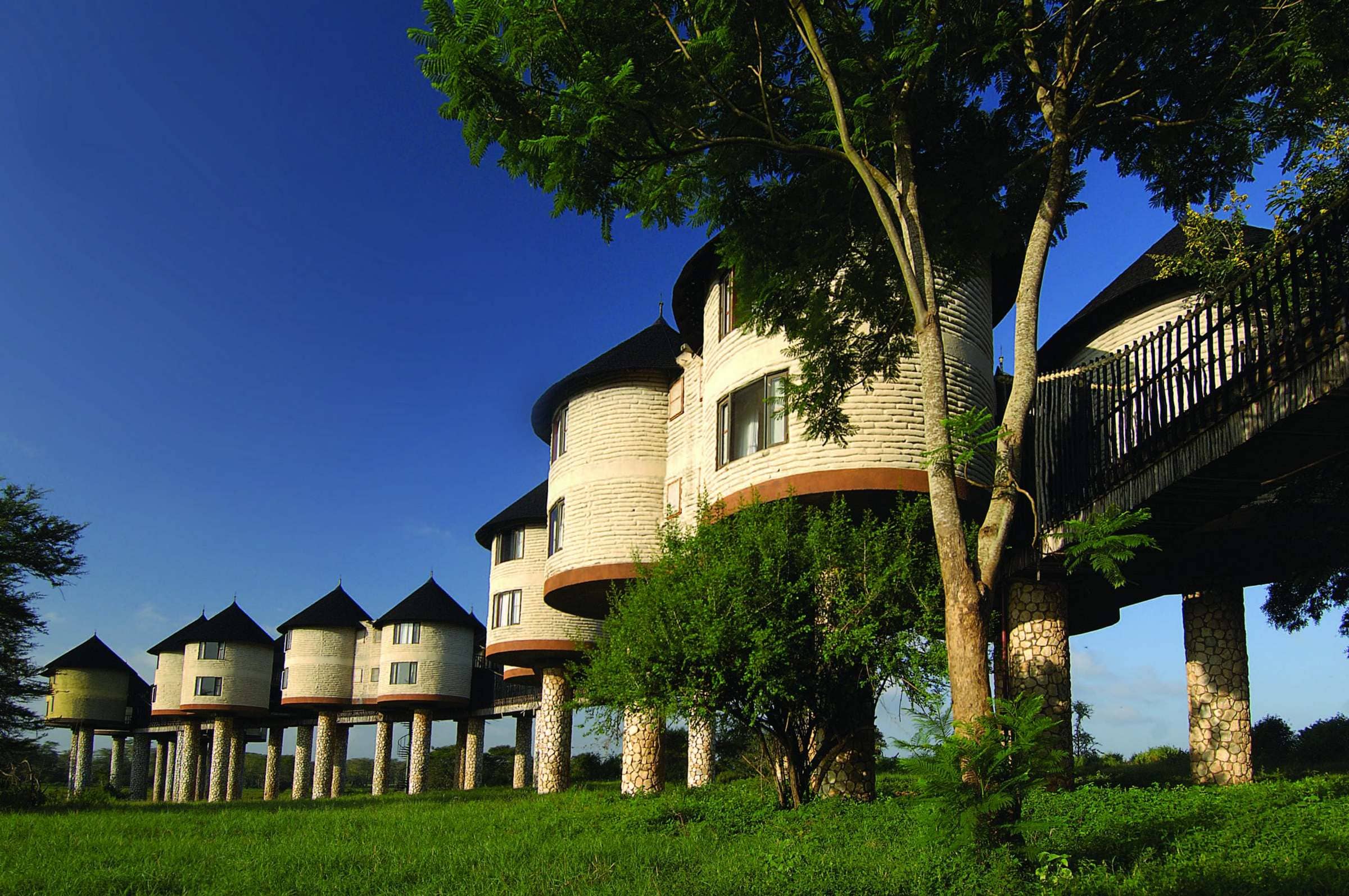 Salt Lick Safari Lodge