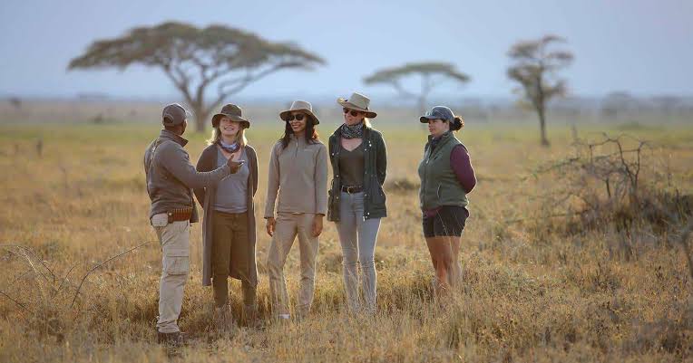 What to Wear in a Safari: Essential Clothing for Your Trip