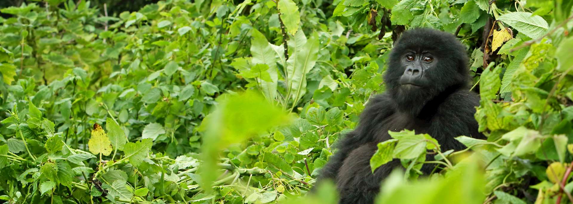 Rwanda