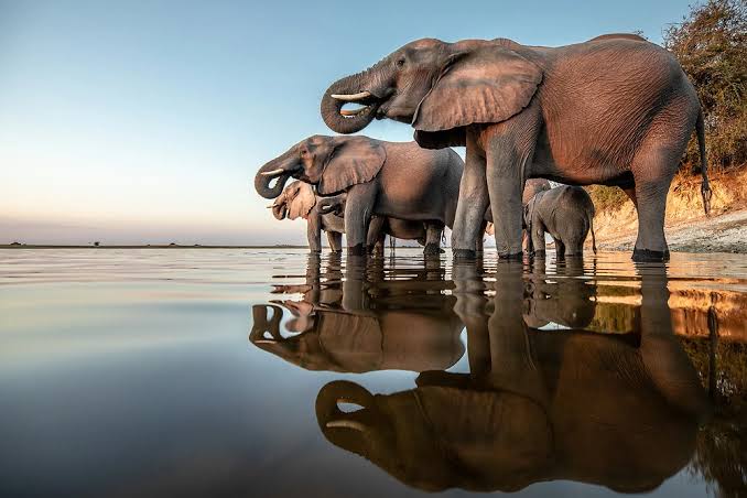 Botswana