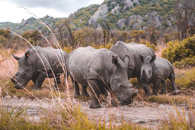 Mosi-oa-Tunya National Park