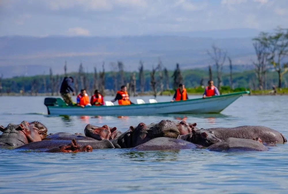 Lake Naivasha.