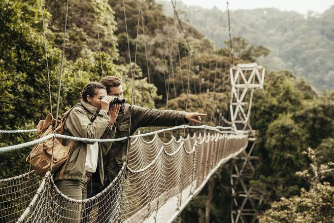 4 Days Nyungwe & Lake Kivu