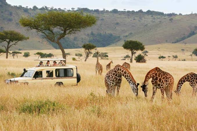5 - Days  Amboseli, Nakuru & Mara  Luxury Safari