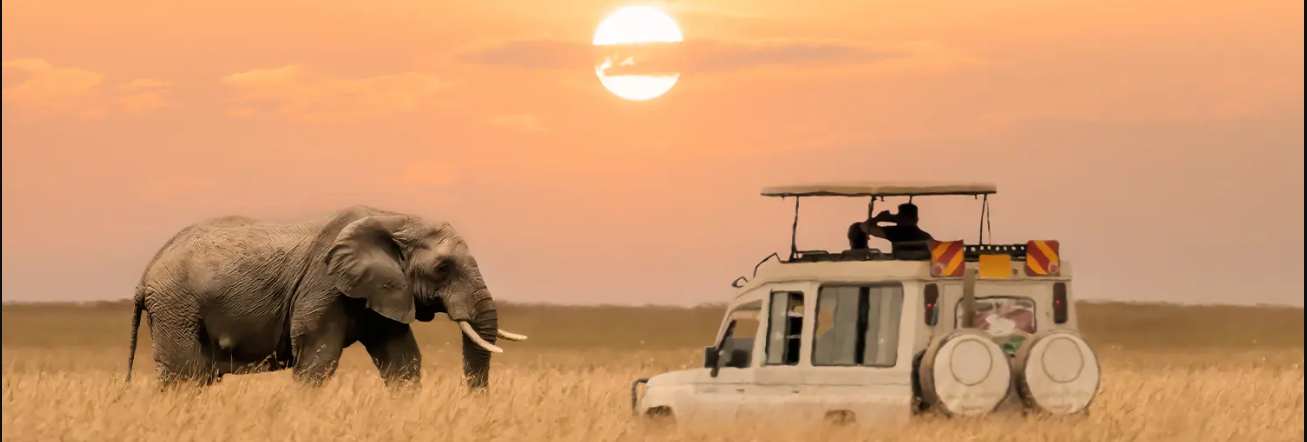3-Day Masai Mara Luxury Explorer Safari.
