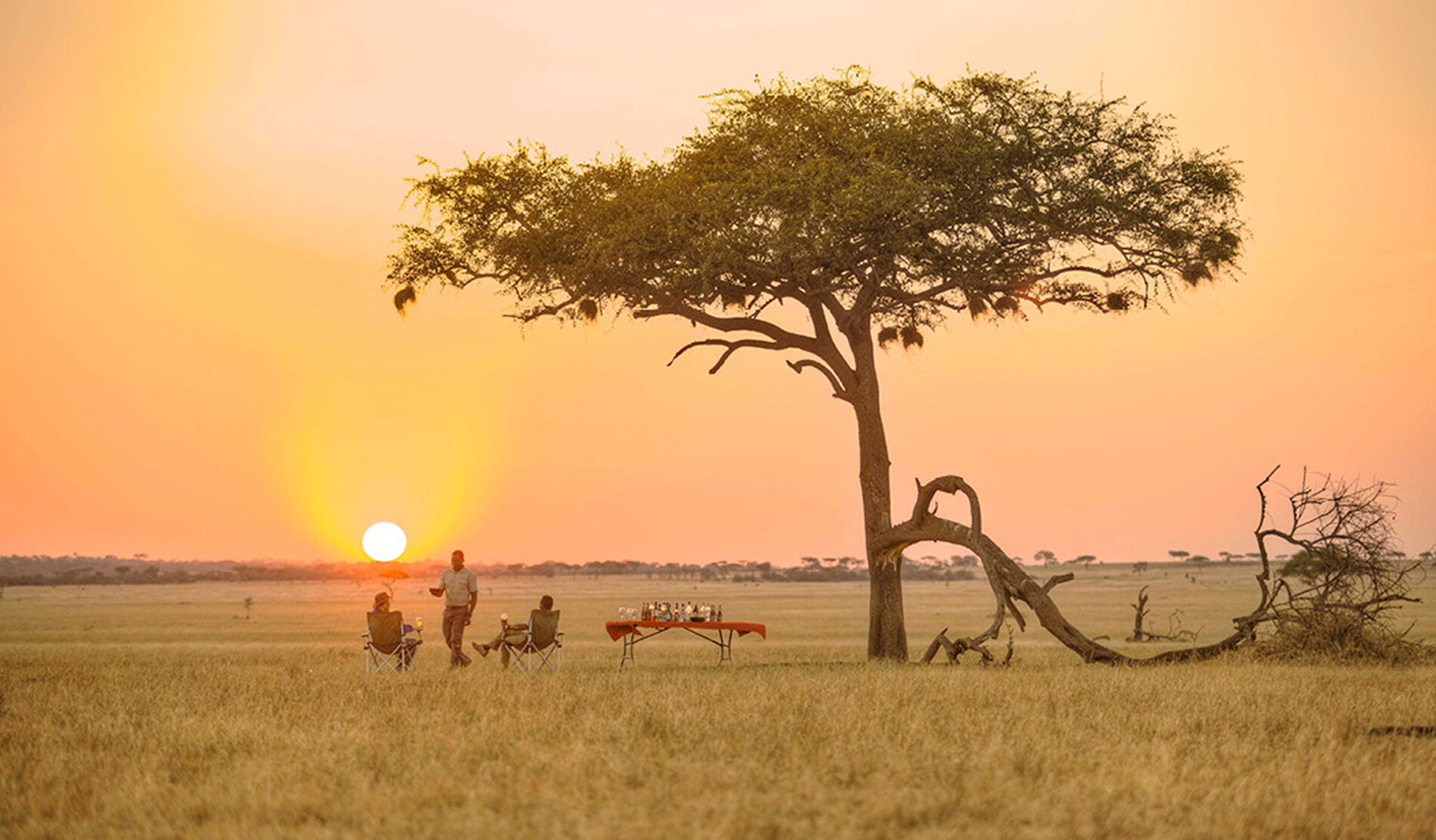 2-Day Tarangire and Ngorongoro Shared Safari