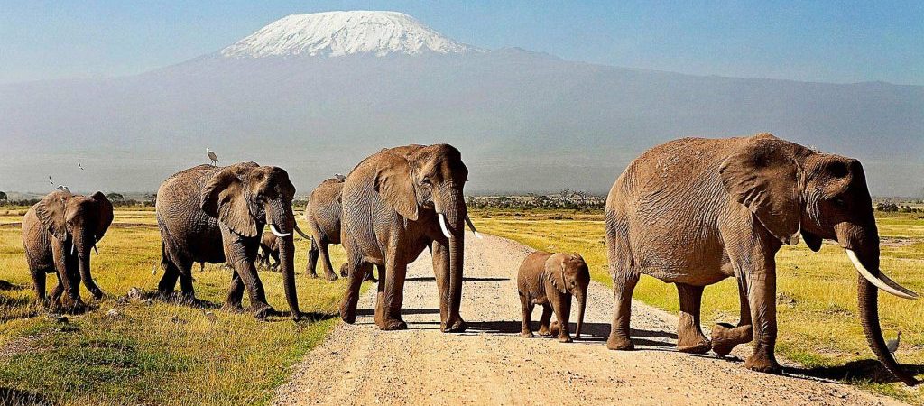 2-Day Amboseli National Park